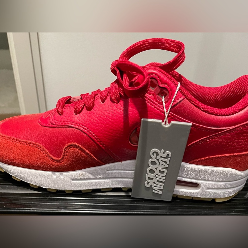 Nike Air Max Shoe
